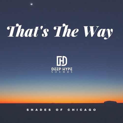 Shades Of Chicago - That's the Way [DHS268]